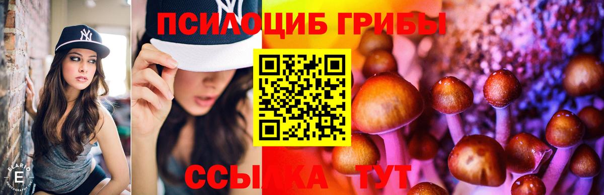 Псилоцибиновые грибы мицелий  Вход с VPN  Галлюциногенные грибы прущие грибы  Полевской 
